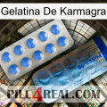 Karmagra Jelly 40